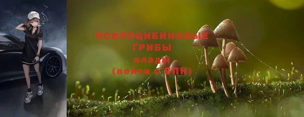 гидропоника Белокуриха