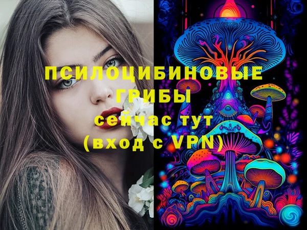 гидра Беломорск