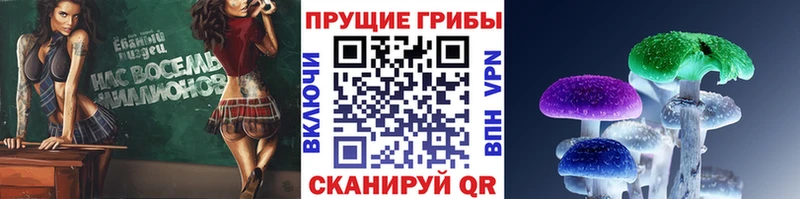 Псилоцибиновые грибы GOLDEN TEACHER  дарнет шоп  Верхнеуральск 